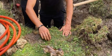 Lüleburgaz’da boruya sıkışan kedi kurtarıldı