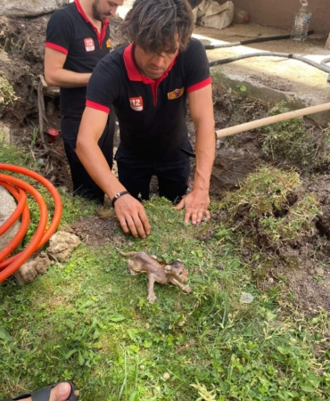 Lüleburgaz’da boruya sıkışan kedi kurtarıldı