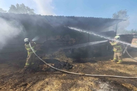 Manyas’ta ahırda çıkan yangında 3 büyükbaş hayvanda yanıklar oluştu