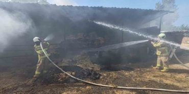 Manyas’ta ahırda çıkan yangında 3 büyükbaş hayvanda yanıklar oluştu