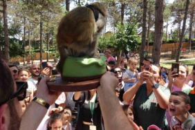 Maymun Luna’nın doğum günü Çekmeköy hayvanat bahçesinde çocuklarla beraber kutlandı