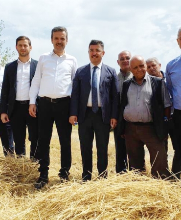 Mudanya’da hasat zamanı