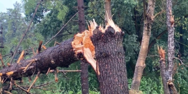 Nemin bunalttığı Kocaeli’de sağanak etkili oldu