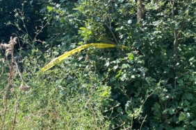 Nişanlısına küfür ettiği iddiasıyla komşusunu öldüren sanığa müebbet hapis