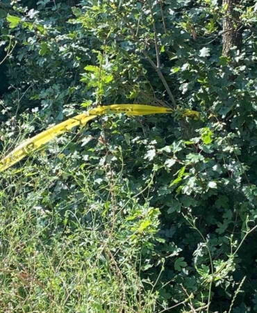 Nişanlısına küfür ettiği iddiasıyla komşusunu öldüren sanığa müebbet hapis