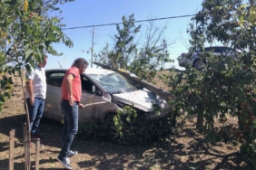 Önce direğe çarptı, sonra bağ evinin bahçesine daldı