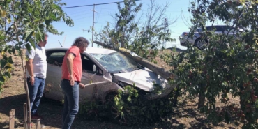 Önce direğe çarptı, sonra bağ evinin bahçesine daldı