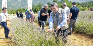 Orhaneli’nde lavanta hasadı başladı