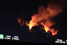 Ormanlık alanda çıkan yangın ekipleri seferber etti