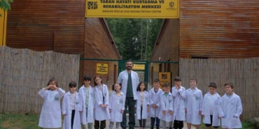 Ormanya’da yaz okulu başlıyor