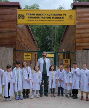 Ormanya’da yaz okulu başlıyor