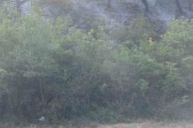 Osmaneli’de çıkan orman yangını büyümeden söndürüldü