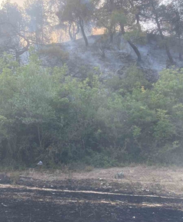 Osmaneli’de çıkan orman yangını büyümeden söndürüldü