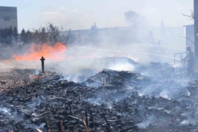 Ot yangını fabrika bahçesine sıçradı