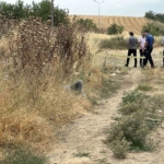 Otluk alanda cansız bedeni bulundu