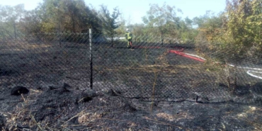 Otobandan atılan sigara izmariti yangın çıkardı