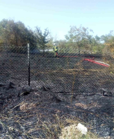 Otobandan atılan sigara izmariti yangın çıkardı