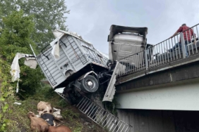 Otoyolda kontrolden çıkan büyükbaş hayvan yüklü tır bariyerlerde asılı kaldı: Dorseden düşen 6 hayvan telef oldu