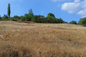 (Özel) Atıl haldeki verimli arazileri ekip ekonomiye kazandıracaklar