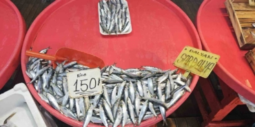 (Özel) Bandırma’da mevsim balığı olan sardalyaya yoğun talep