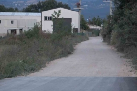 (Özel) Bir köpek dehşeti de Bursa’dan...