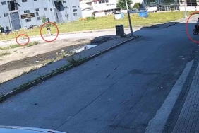 (Özel) Bursa’da sokak köpeğinin saldırısından kadını kurtardı... O anlar kamerada