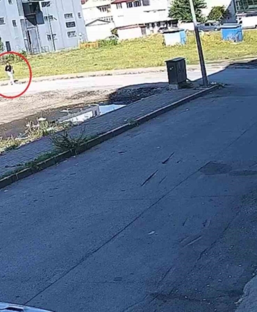 (Özel) Bursa’da sokak köpeğinin saldırısından kadını kurtardı... O anlar kamerada