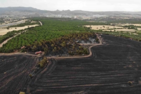 (Özel) Çanakkale’de bir ayda 132 yangın: 2 bin 625 futbol sahası büyüklüğünde orman yok oldu