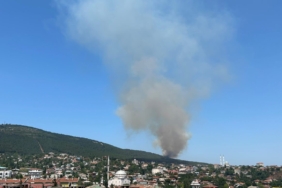 Pendik Aydos Ormanı’nda yangın çıktı. Olay yerine çok sayıda itfaiye ekibi sevk edildi.
