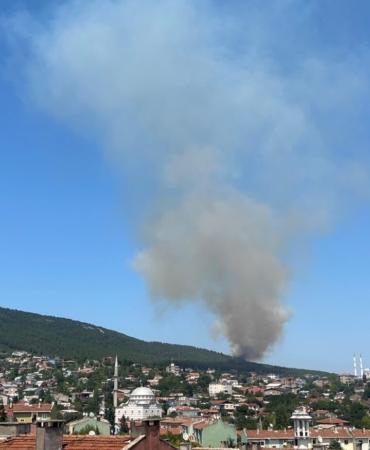 Pendik Aydos Ormanı’nda yangın çıktı. Olay yerine çok sayıda itfaiye ekibi sevk edildi.