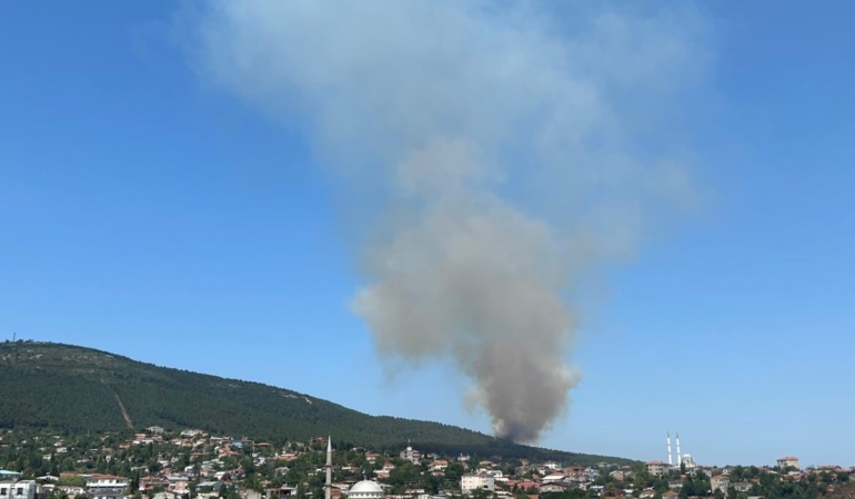 Pendik Aydos Ormanı’nda yangın çıktı. Olay yerine çok sayıda itfaiye ekibi sevk edildi.