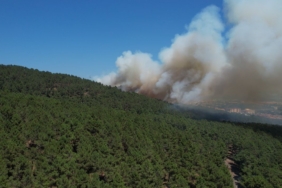 Pendik Aydos Ormanı’ndaki yangın havadan görüntülendi