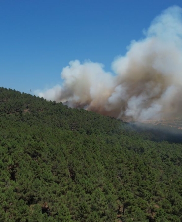 Pendik Aydos Ormanı’ndaki yangın havadan görüntülendi
