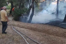 Piknik alanında çıkan yangın ormana sıçramadan söndürüldü