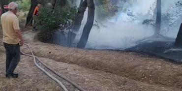 Piknik alanında çıkan yangın ormana sıçramadan söndürüldü