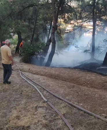Piknik alanında çıkan yangın ormana sıçramadan söndürüldü