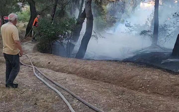 Piknik alanında çıkan yangın ormana sıçramadan söndürüldü