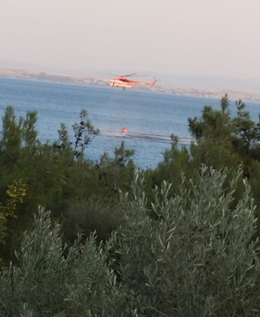 Piknik ateşinden çıkan orman yangını söndürüldü