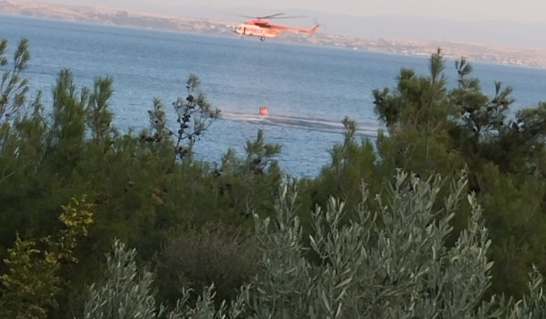 Piknik ateşinden çıkan orman yangını söndürüldü
