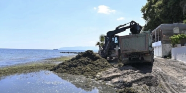 Sahilde temizlik çalışması: Kepçeyle toplanan yosunlar kamyonlara dolduruldu