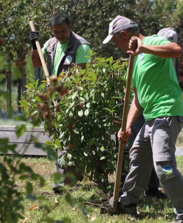 Sakarya Büyükşehir Belediyesi’nden şehre estetik dokunuş