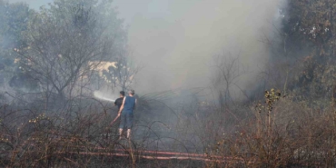 Sakarya’da arazi yangını ekipleri harekete geçirdi