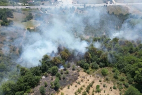 Sakarya’da çıkan orman yangını havadan görüntülendi