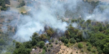 Sakarya’da çıkan orman yangını havadan görüntülendi