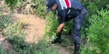 Sakarya’da jandarmadan uyuşturucuya geçit yok