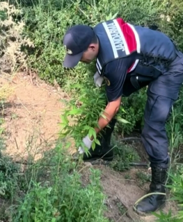 Sakarya’da jandarmadan uyuşturucuya geçit yok