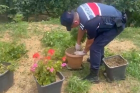 Sakarya’da uyuşturucu operasyonları: 21 gözaltı