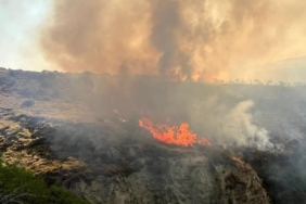 Şarköy’de otluk alanda yangın