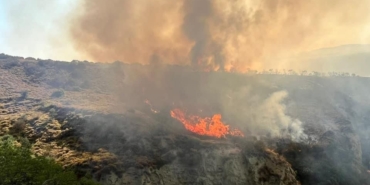 Şarköy’de otluk alanda yangın