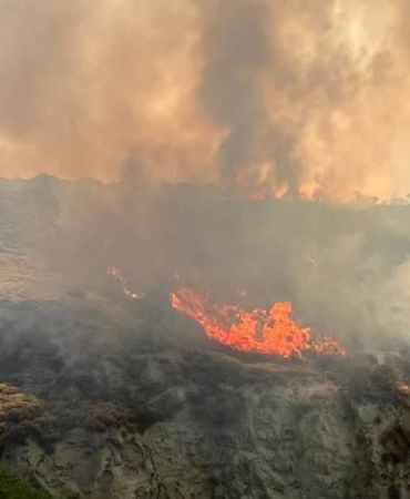 Şarköy’de otluk alanda yangın